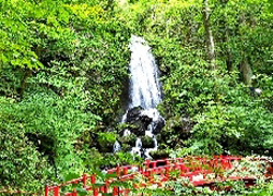 日本の滝100選 桜松神社 不動の滝