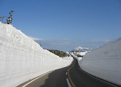 圧巻の雪の回廊 八幡平アスピーテライン