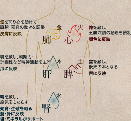 冷えは万病のもと