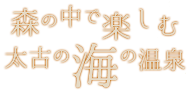 森の中で楽しむ太古の海の温泉