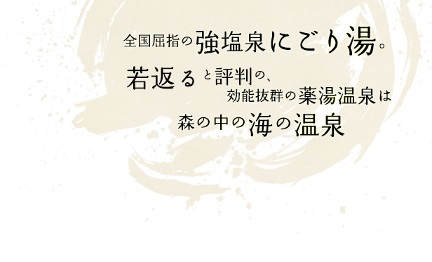 全国屈指の強塩泉にごり湯。若返ると評判の、効能抜群の薬湯温泉は森の中の海の温泉